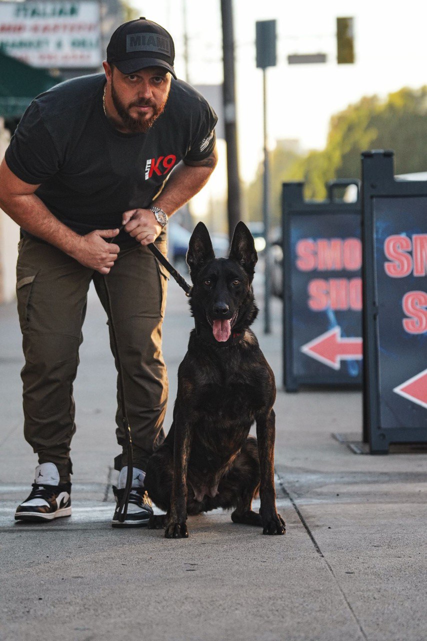 Elite K9 Team Member