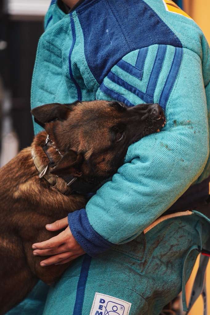 Elite K9 Team Member