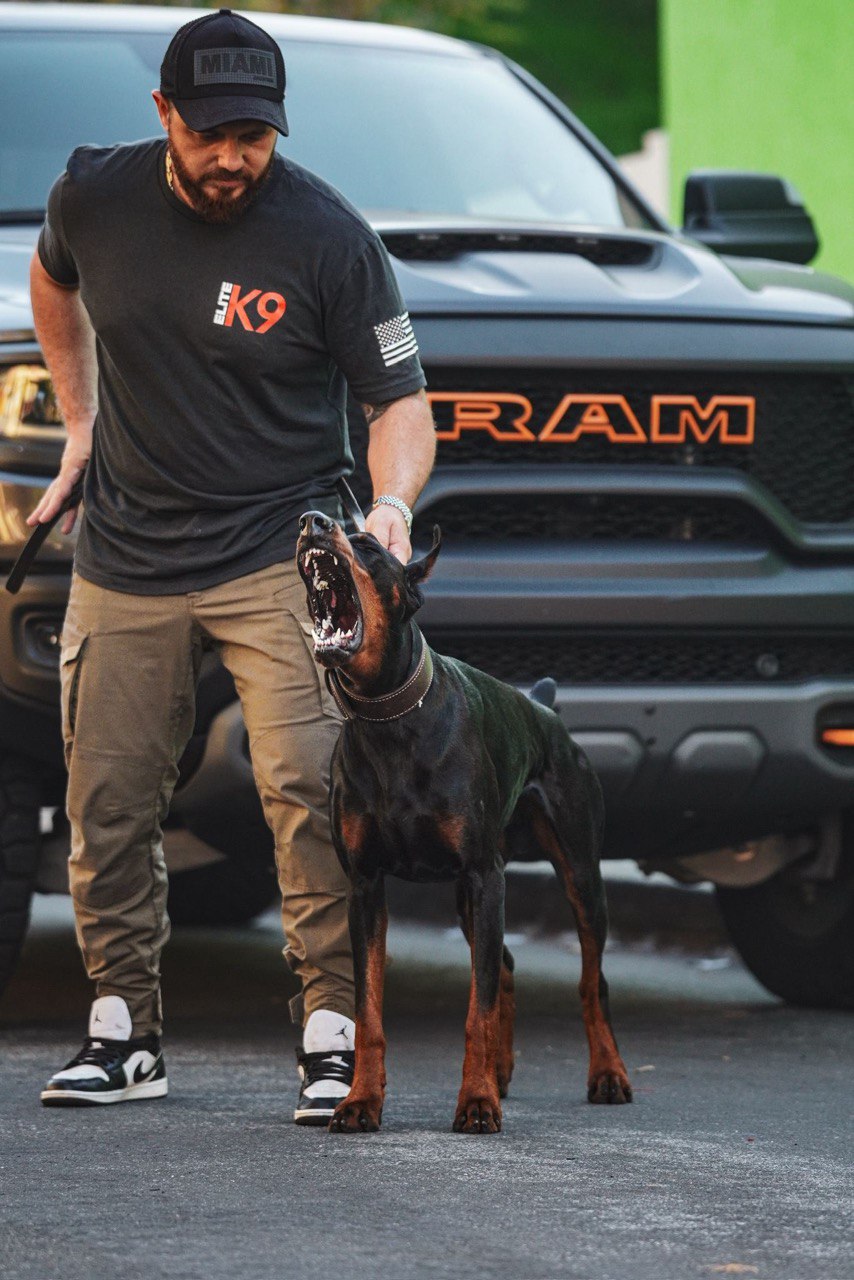 Elite K9 Team Member