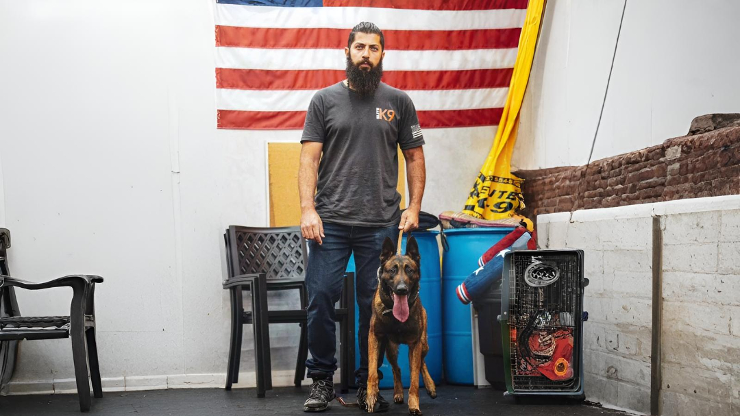 Elite K9 Trainers with Dogs
