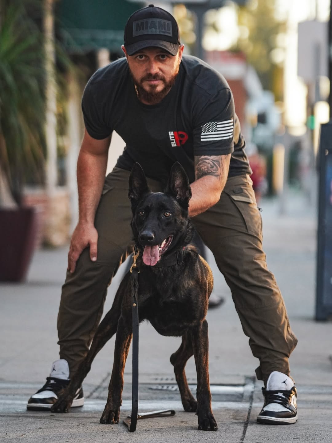 Understanding dog body language signals